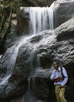 Karura Waterfall